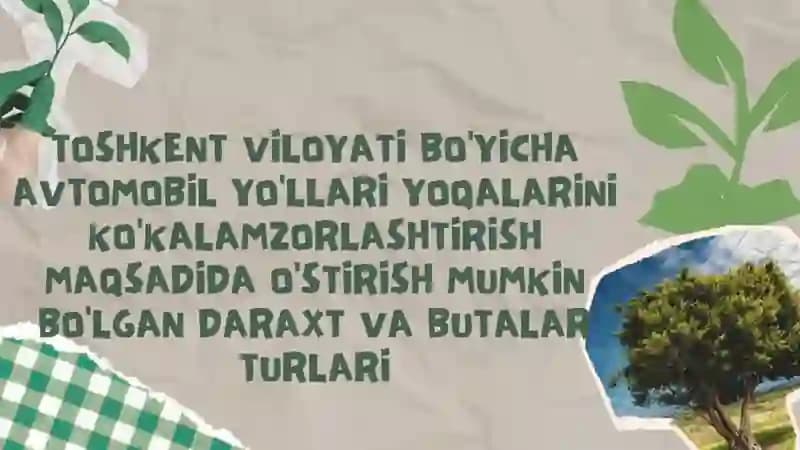 Sibir karag'anasi (Karagana), Zirk (Barbaris,), Atirgul butalari, Bargi tushmaydigan doimiy yashil butalar