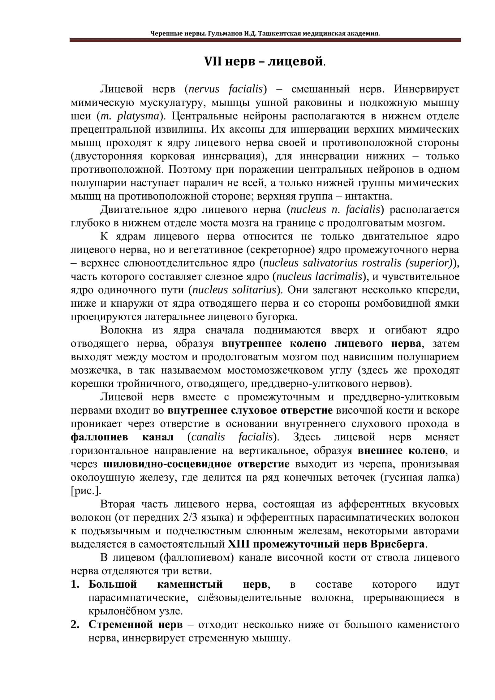 Лицевой нерв (nervus facialis)