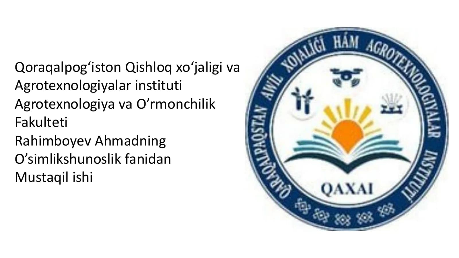 Shol o'sishi uchun quyosh nuri zarur
