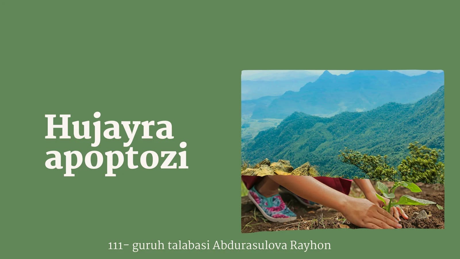Hujayra apoptozi