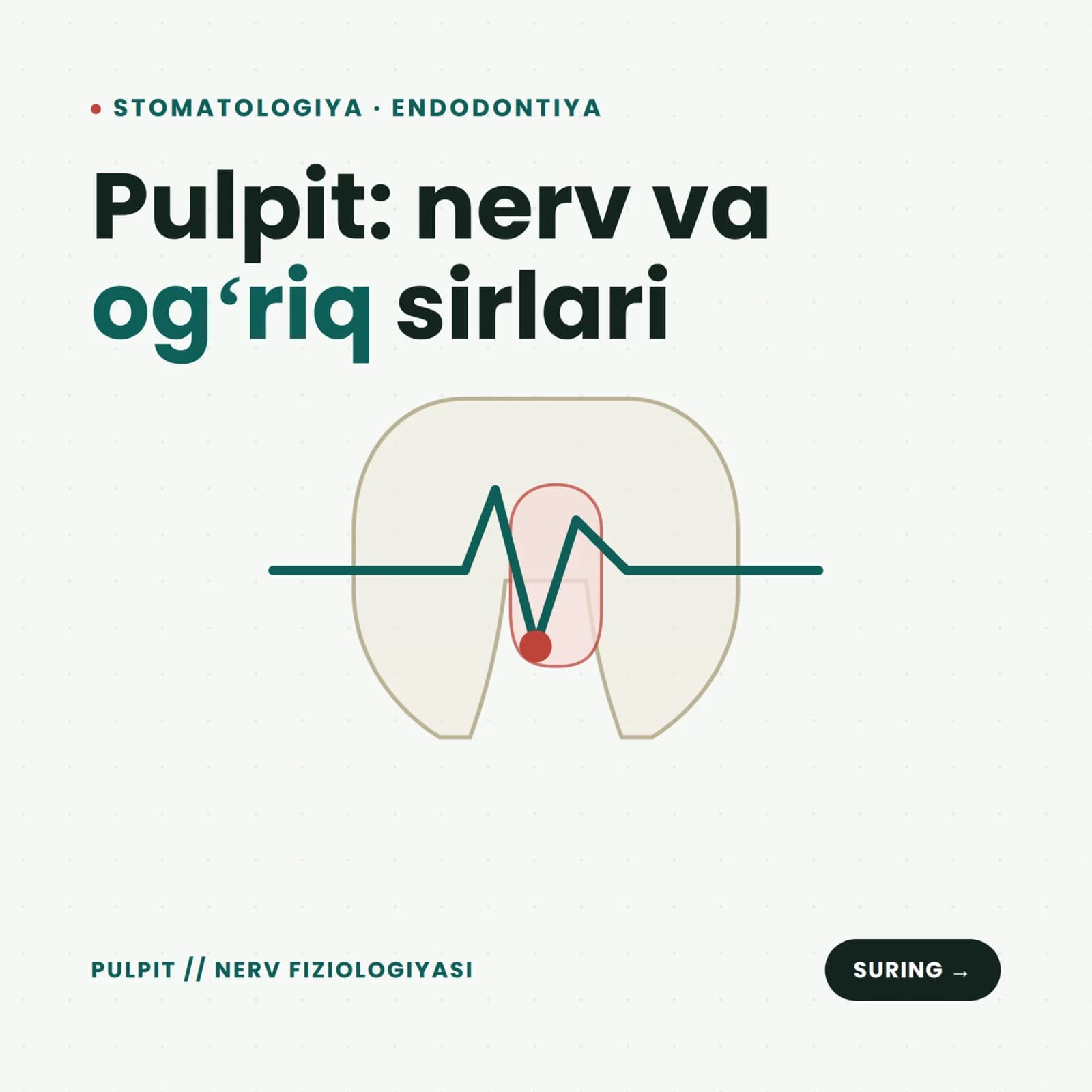 Pulpit nima va uning rivojlanishi, patalogiyasi.