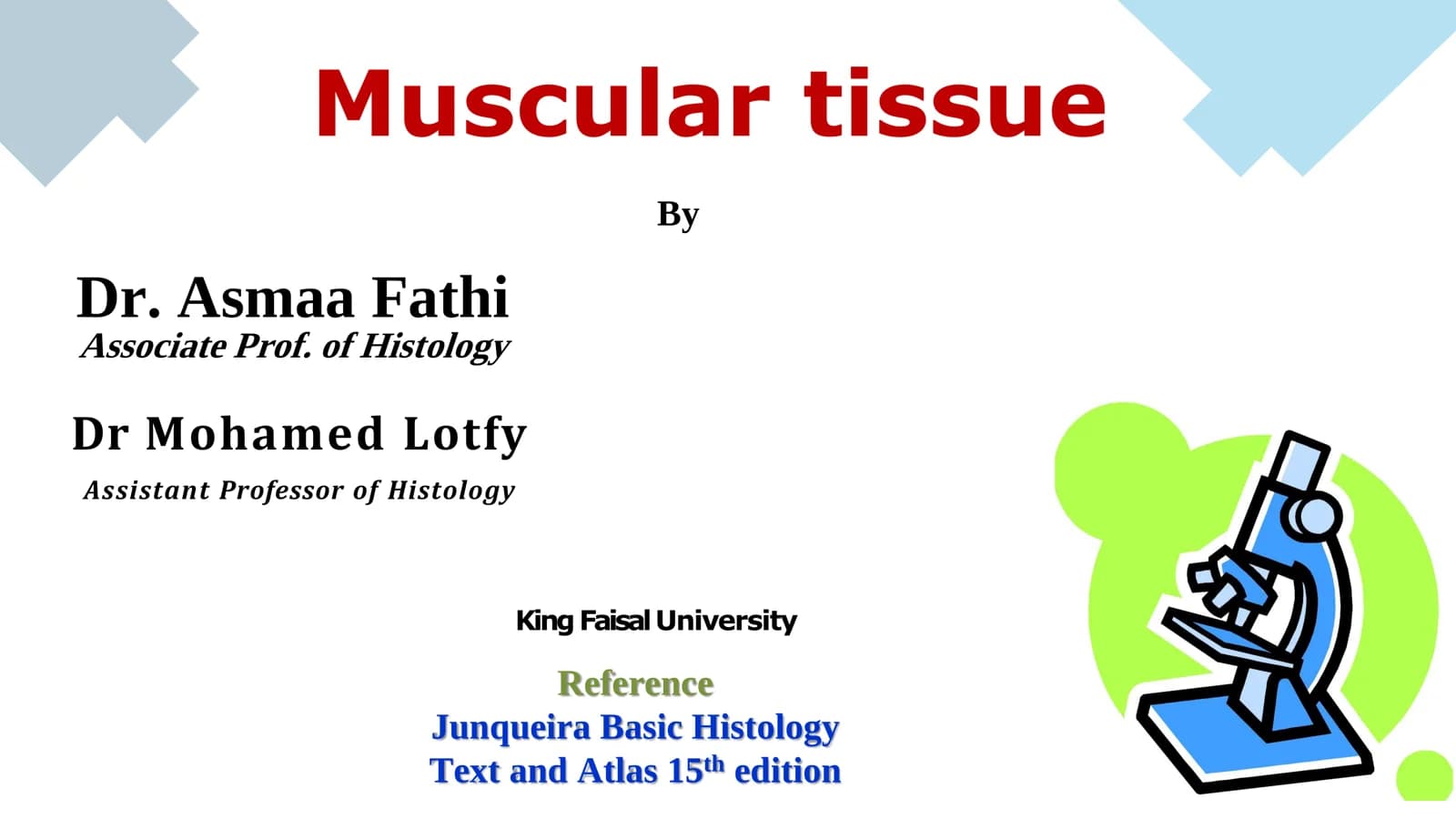 Muscular tissue