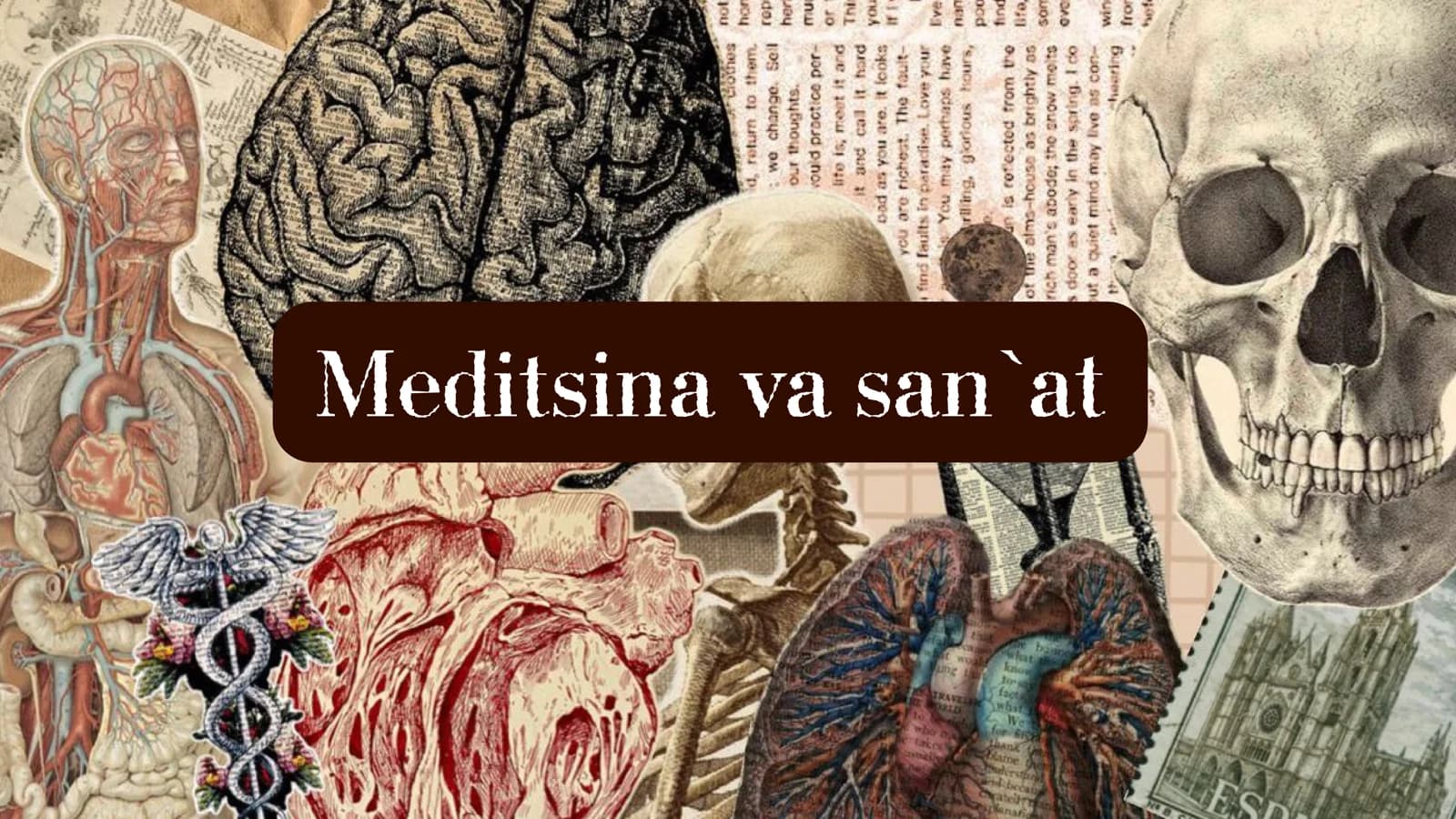 Meditsina va san'at