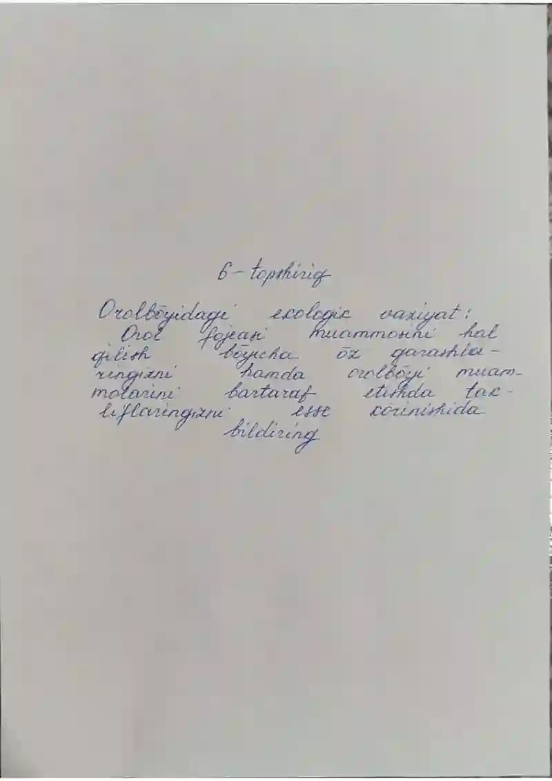 "Orol bo'yidagi ekologik vaziyat" mavzusida esse - Mustaqil ish (qo'l yozma)