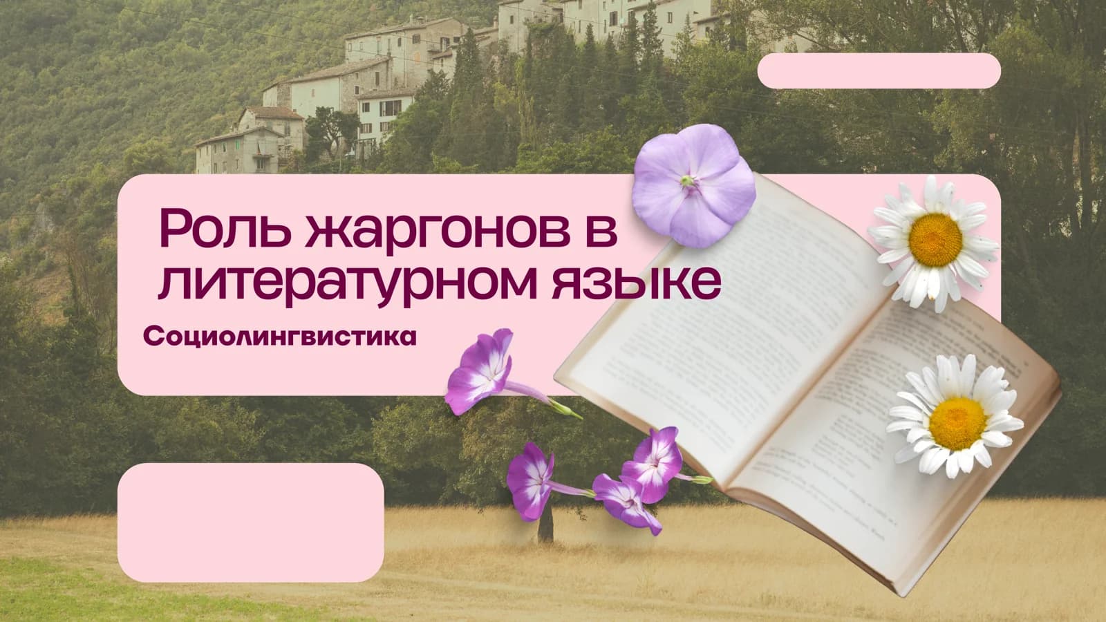 Роль жаргонов в литературном языке