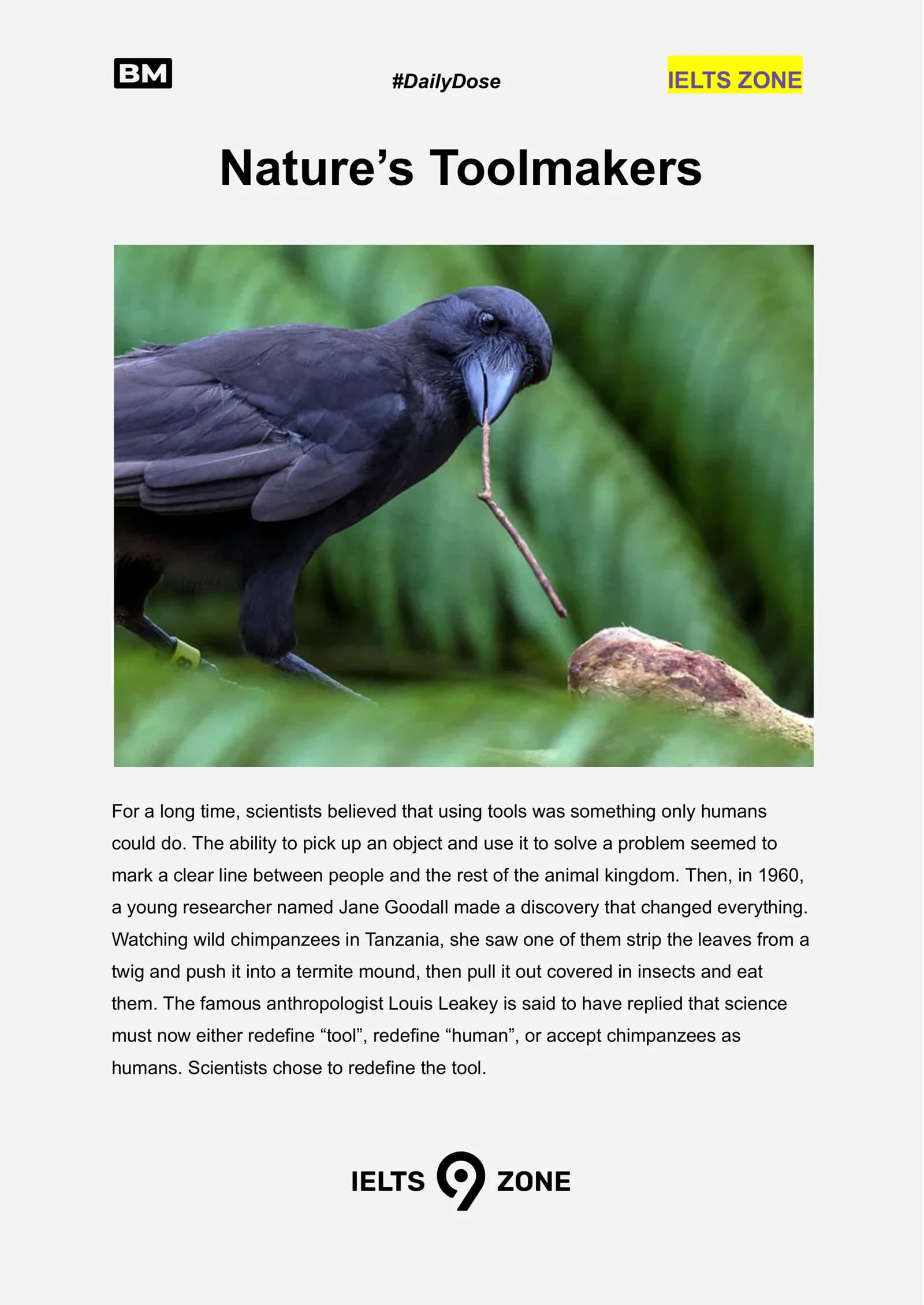 Nature’s Toolmakers