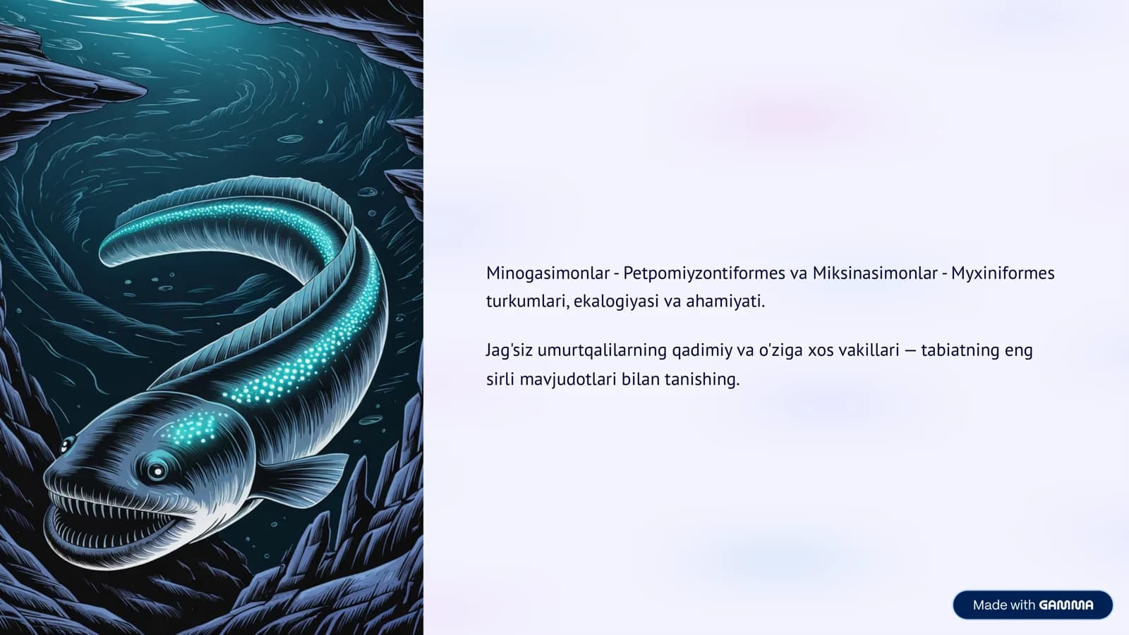 Minogasimonlar - Petpomiyzontiformes va Miksinasimonlar - Myxiniformes