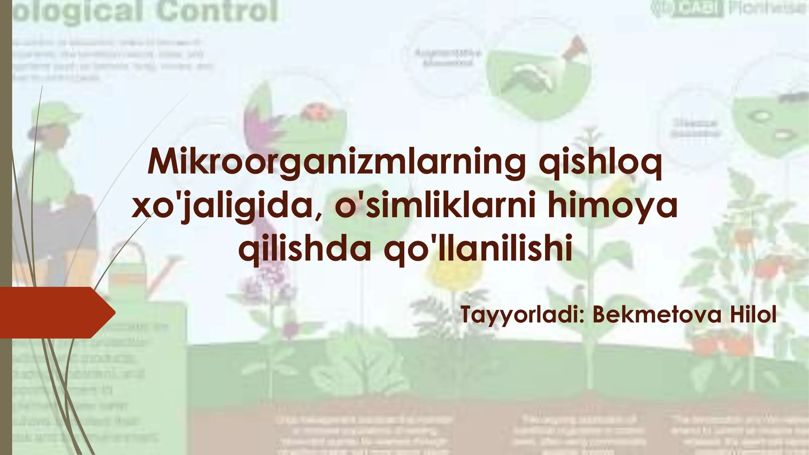 Mikroorganizmlarning qishloq xo'jaligida, o'simliklarni himoya qilishda qo'llanilishi