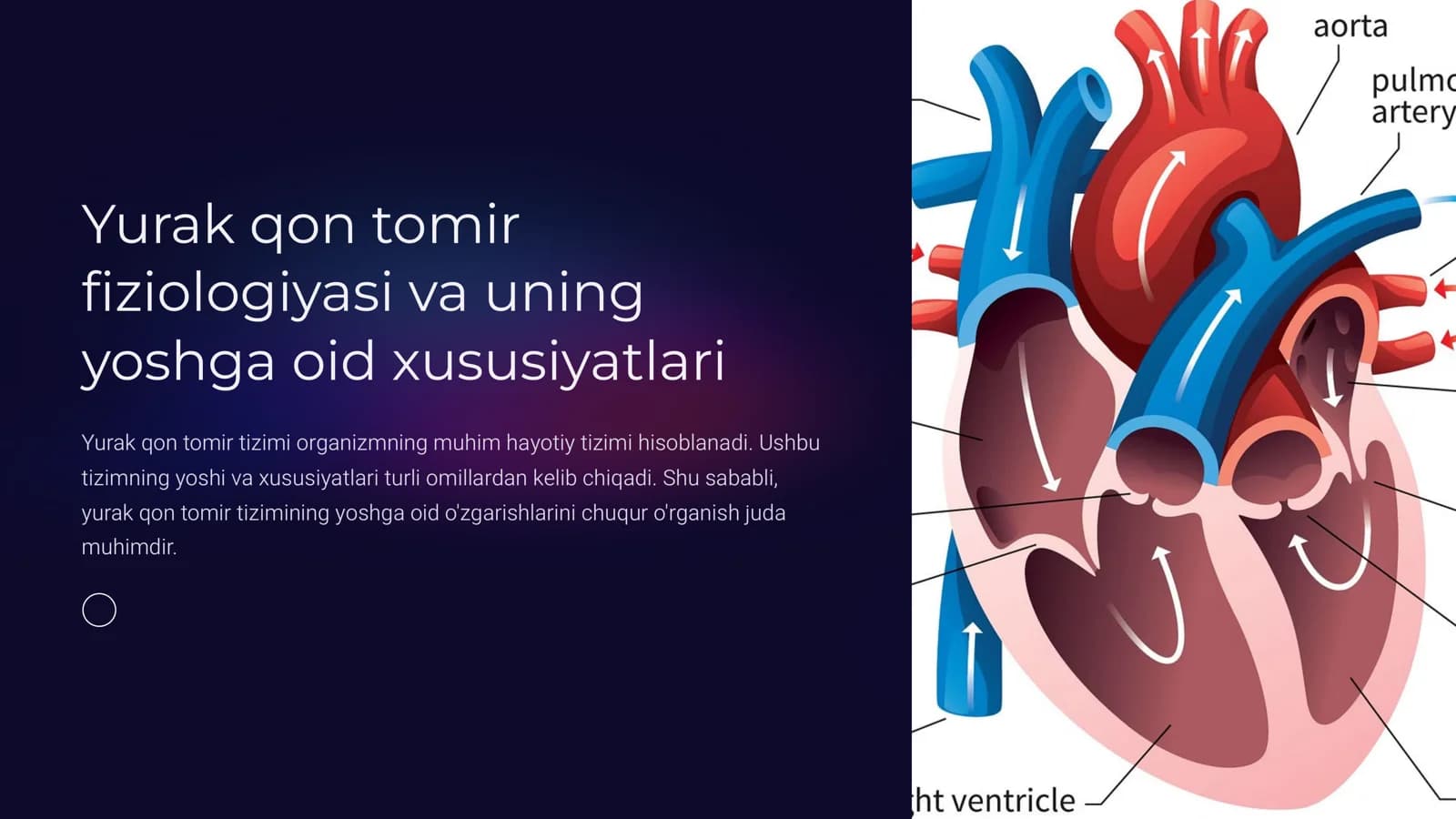 Yurak qon tomir  fiziologiyasi va uning  yoshga oid xususiyatlari