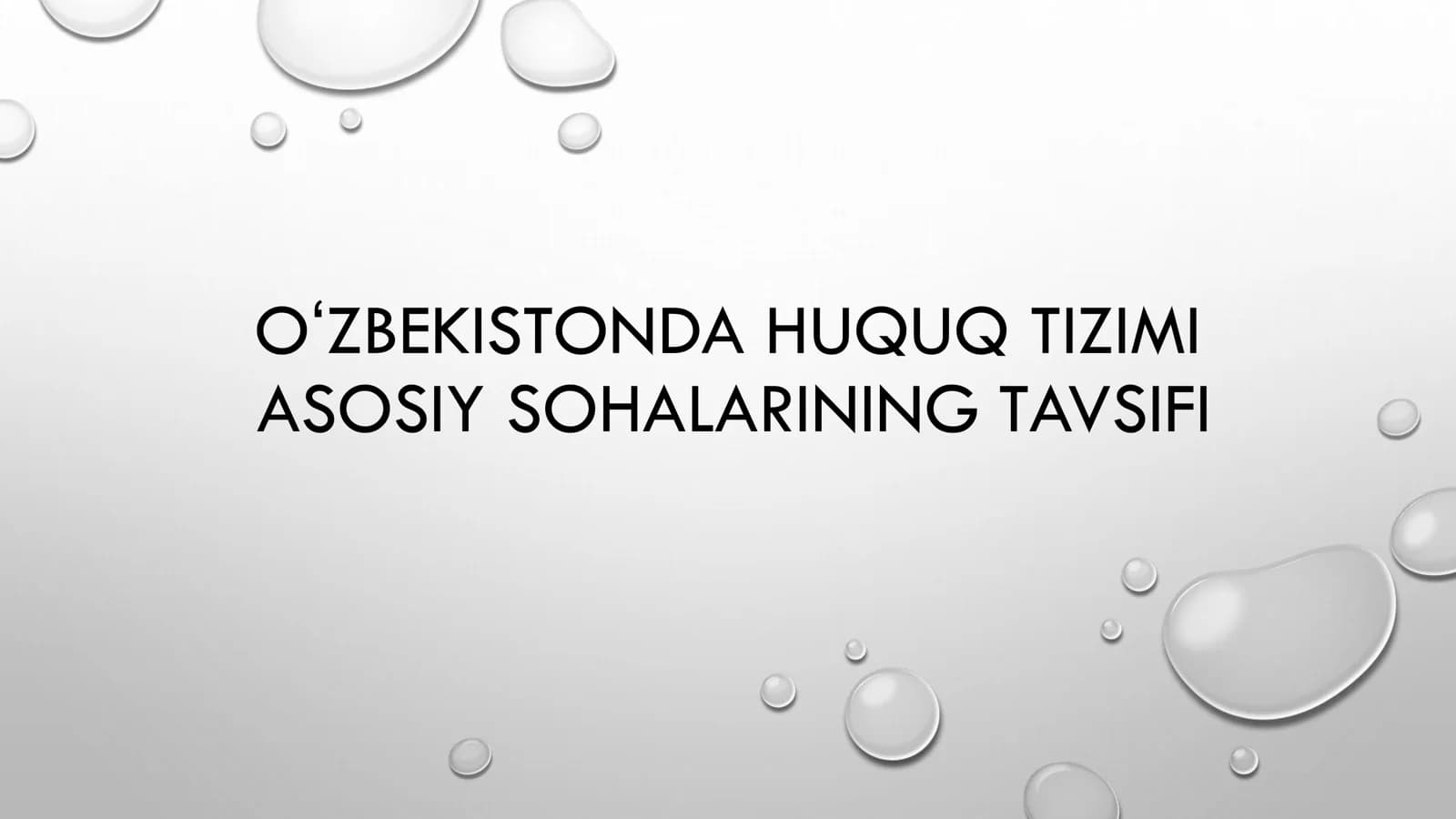 OʻZBEKISTONDA HUQUQ TIZIMI ASOSIY SOHALARINING TAVSIFI
