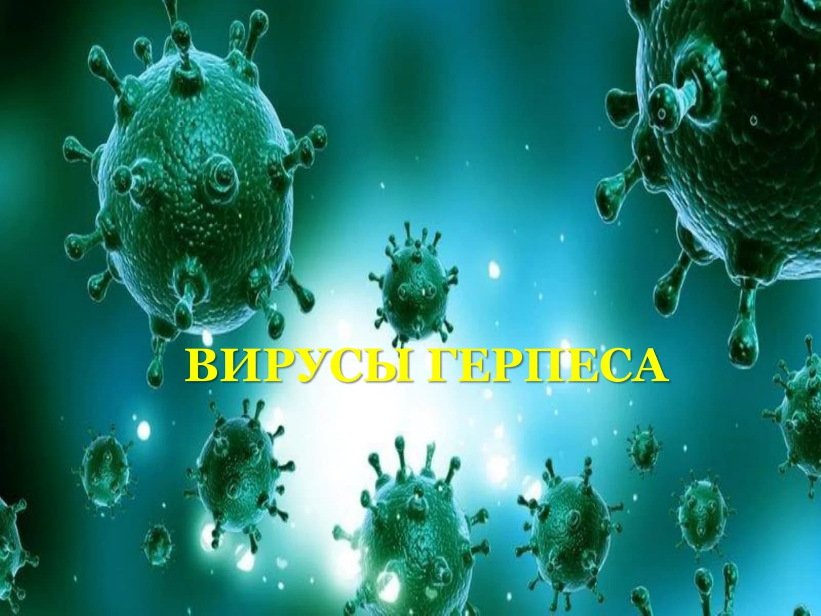 ВИРУСЫ ГЕРПЕСА