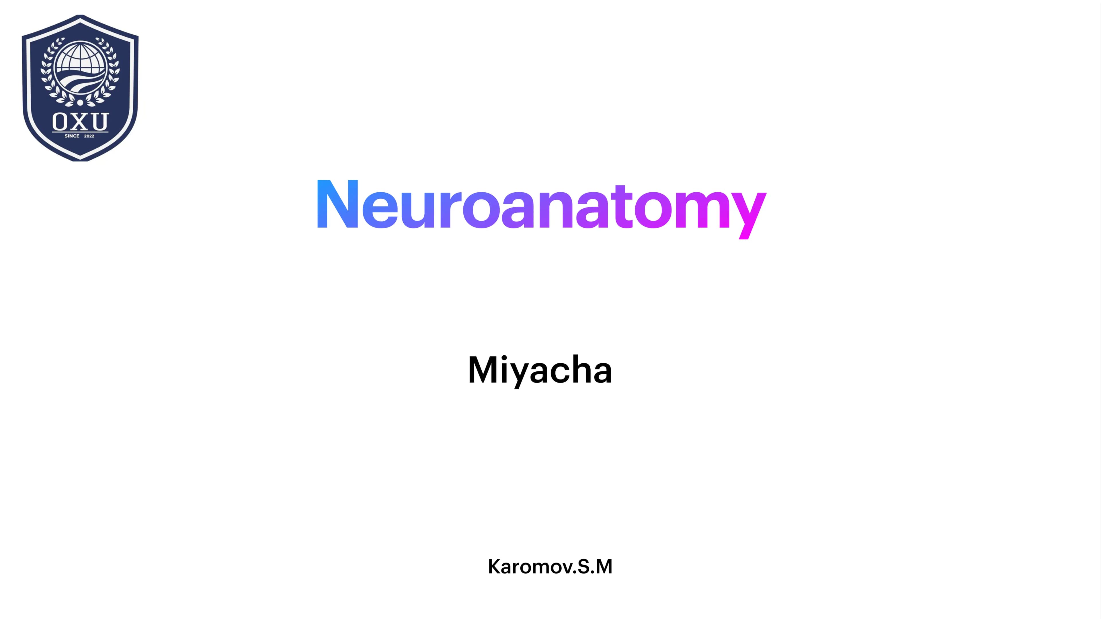 Neuroanatomy