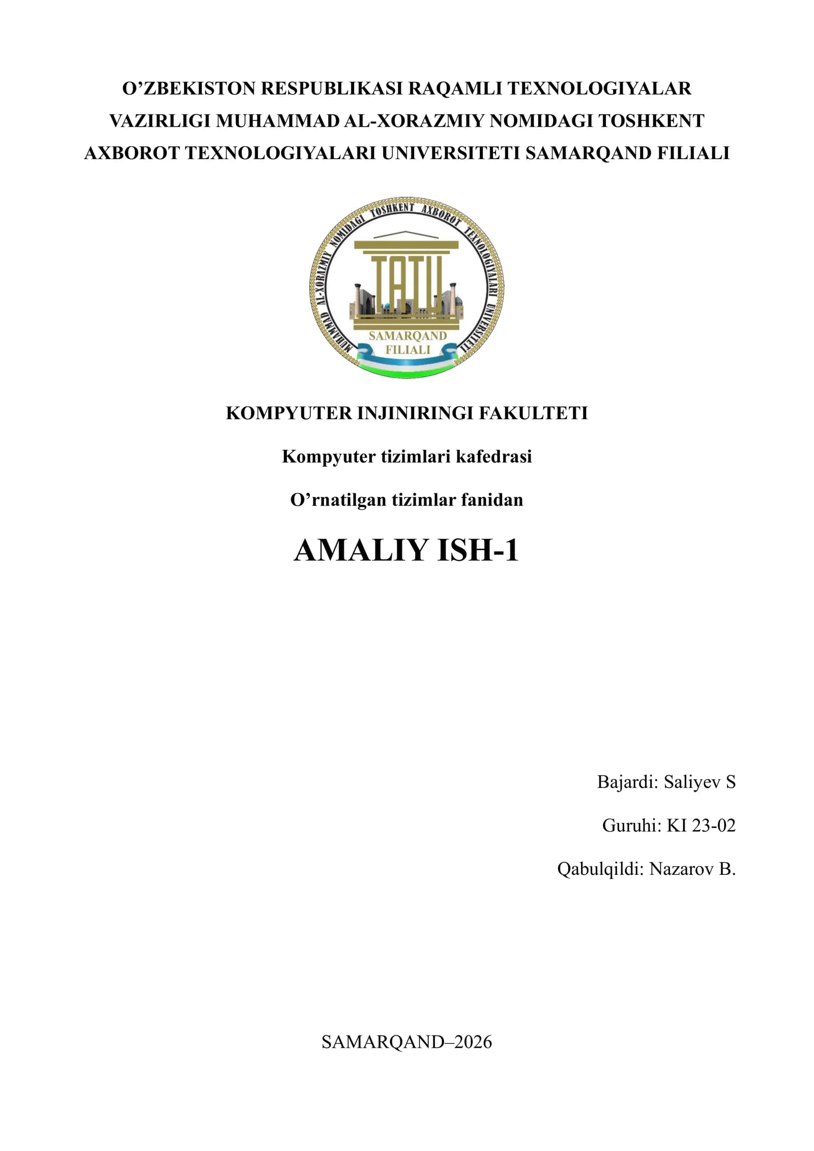 AMALIY ISH-1