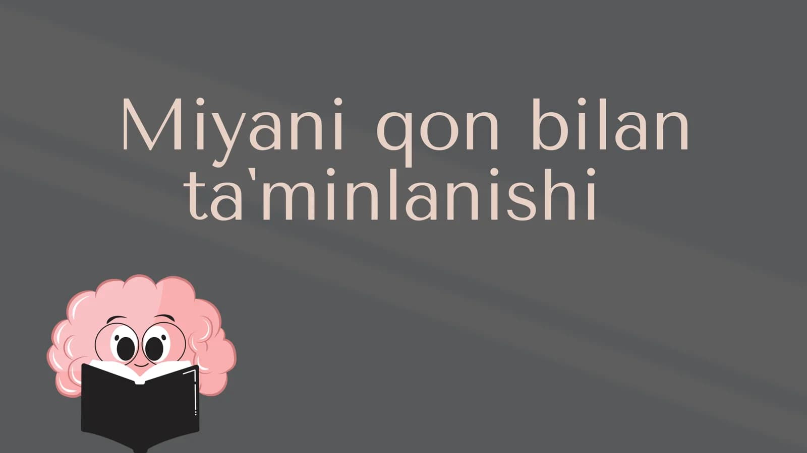 Miyani qon bilan taʼminlanishi