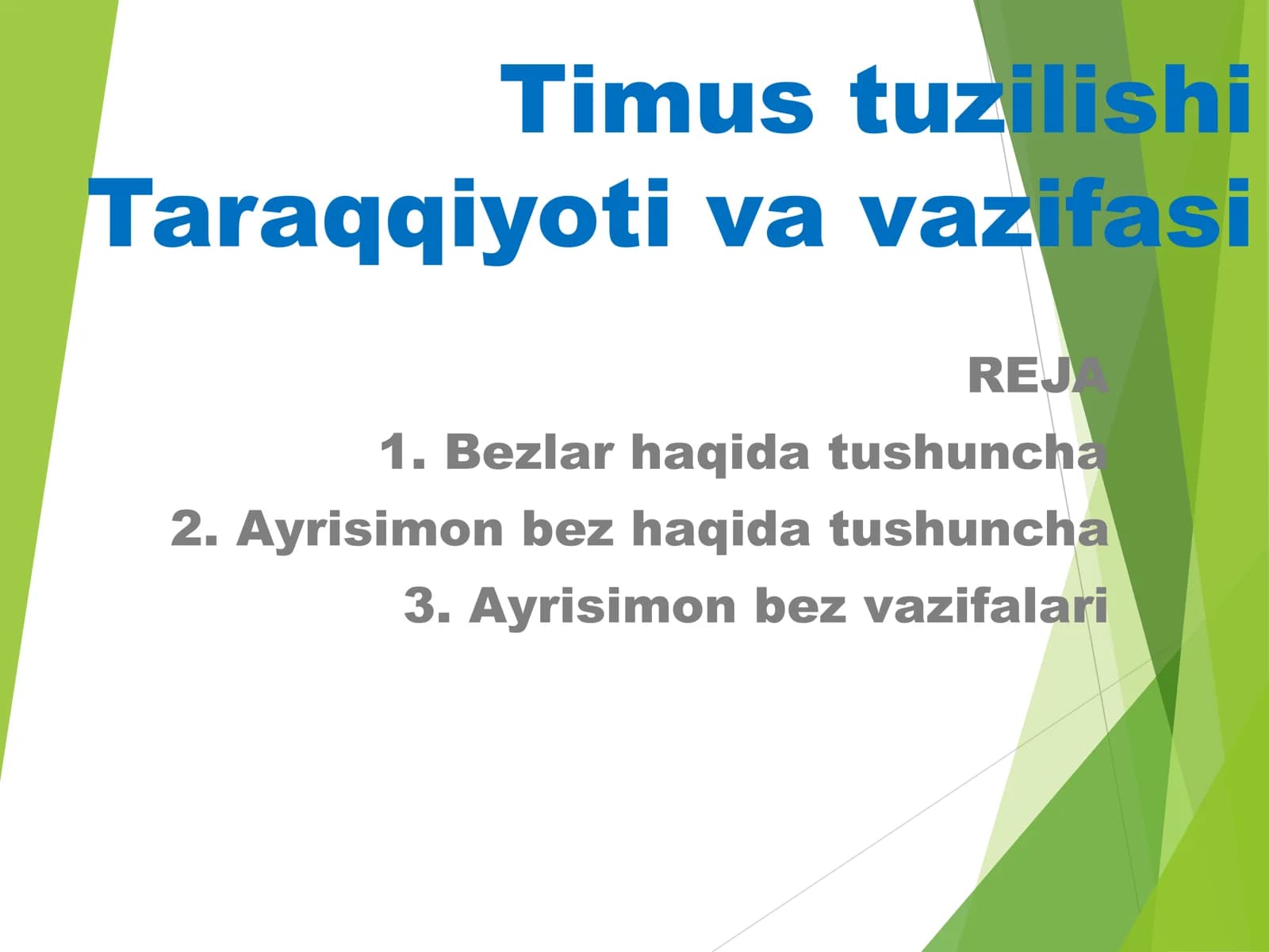 Timus tuzilishi