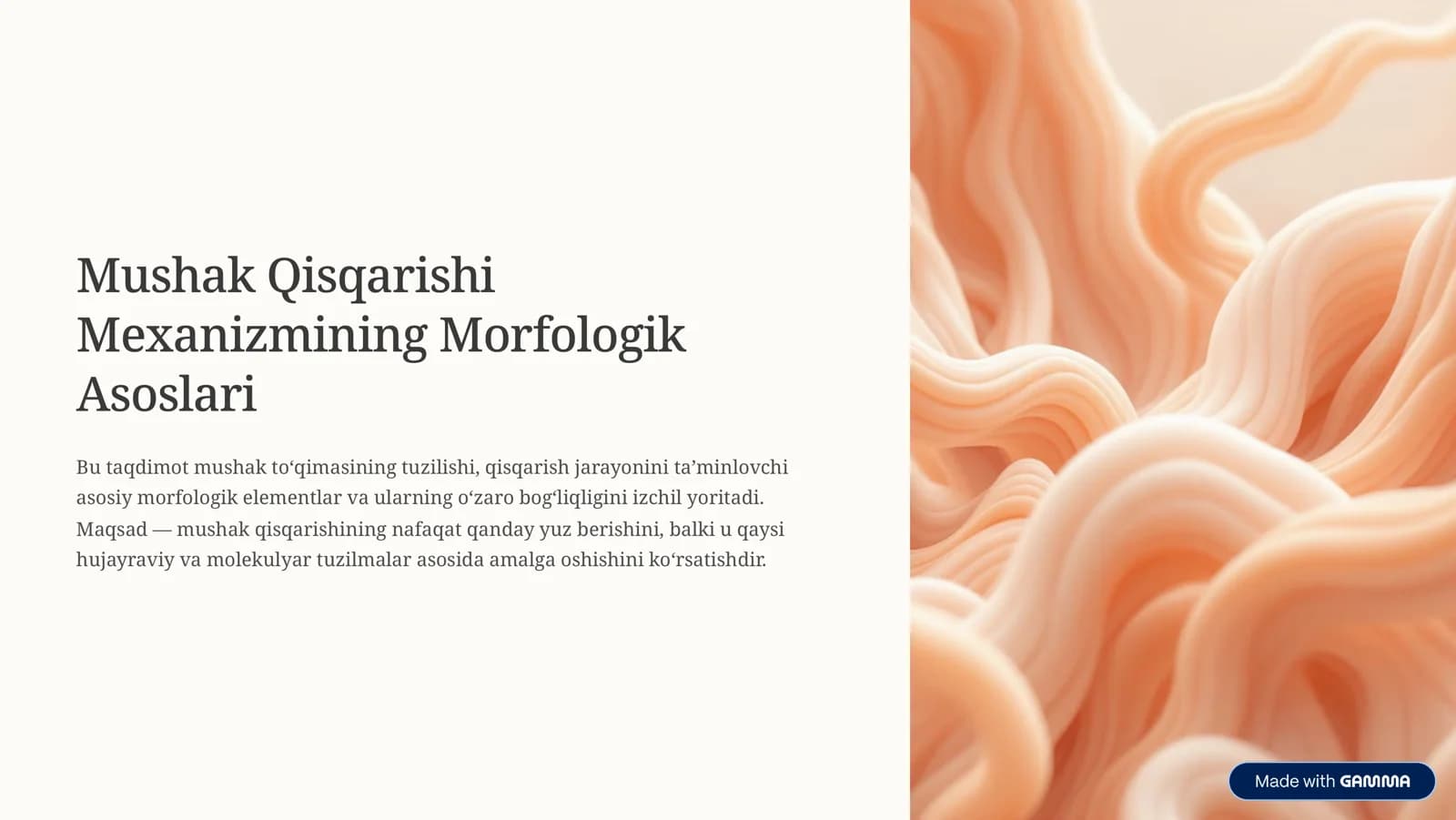 Qisqarishi 
Mexanizmining Morfologik 
Asoslari