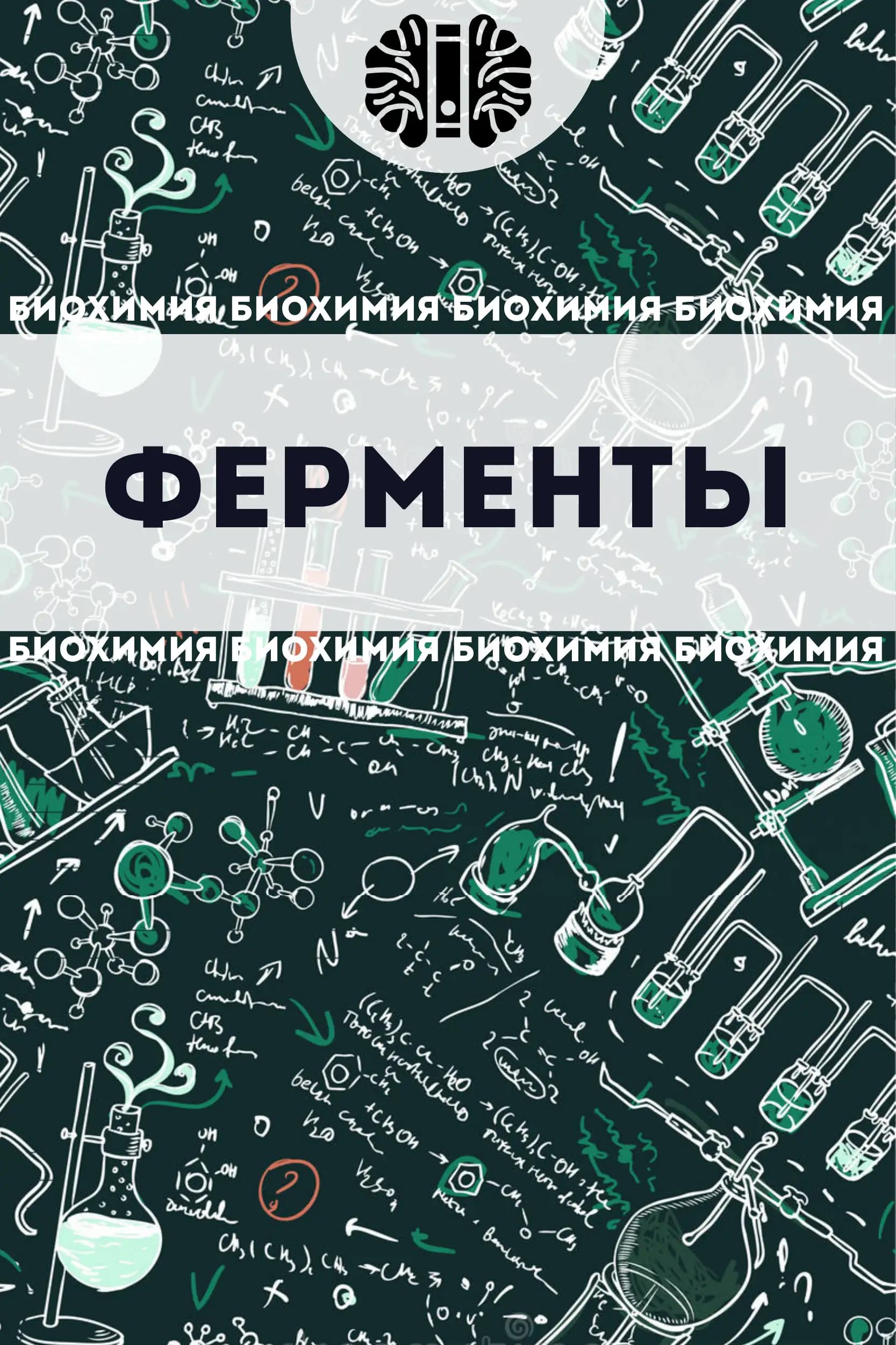 Ферменты (Энзимы)