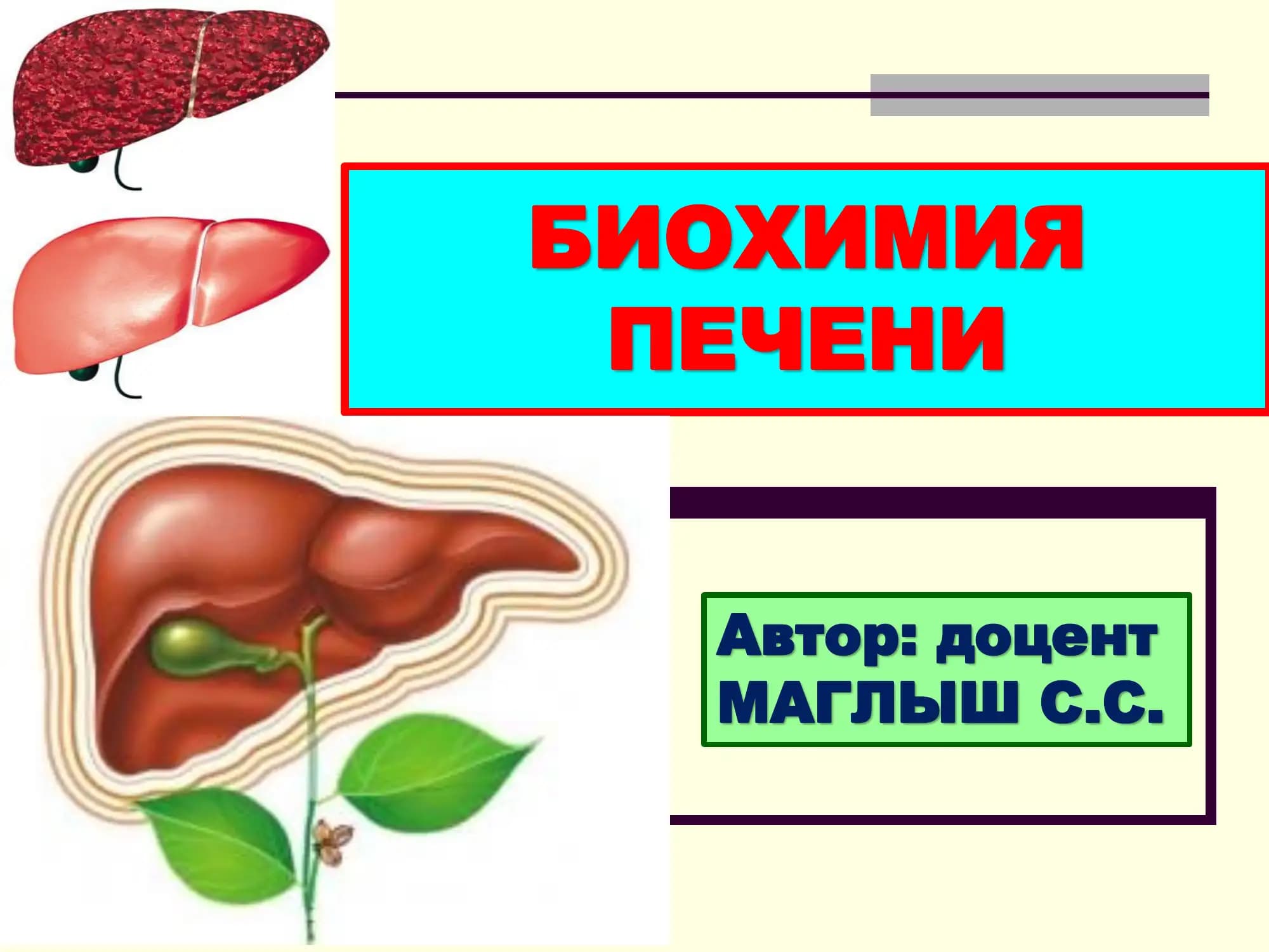 БИОХИМИЯ ПЕЧЕНИ