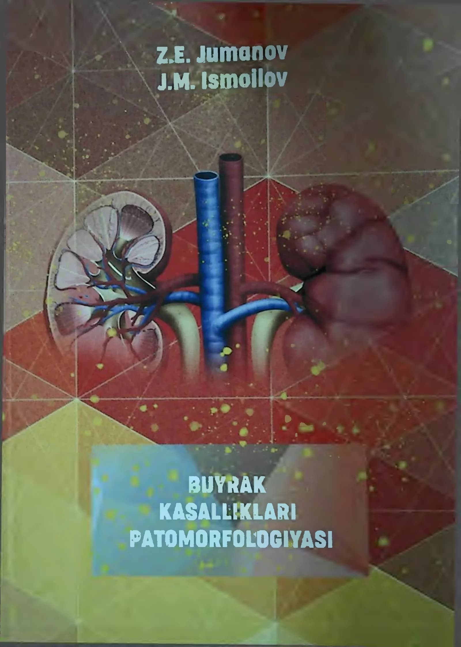 BUYRAK KASALLIKLARI PATOMORFOLOGIYASI