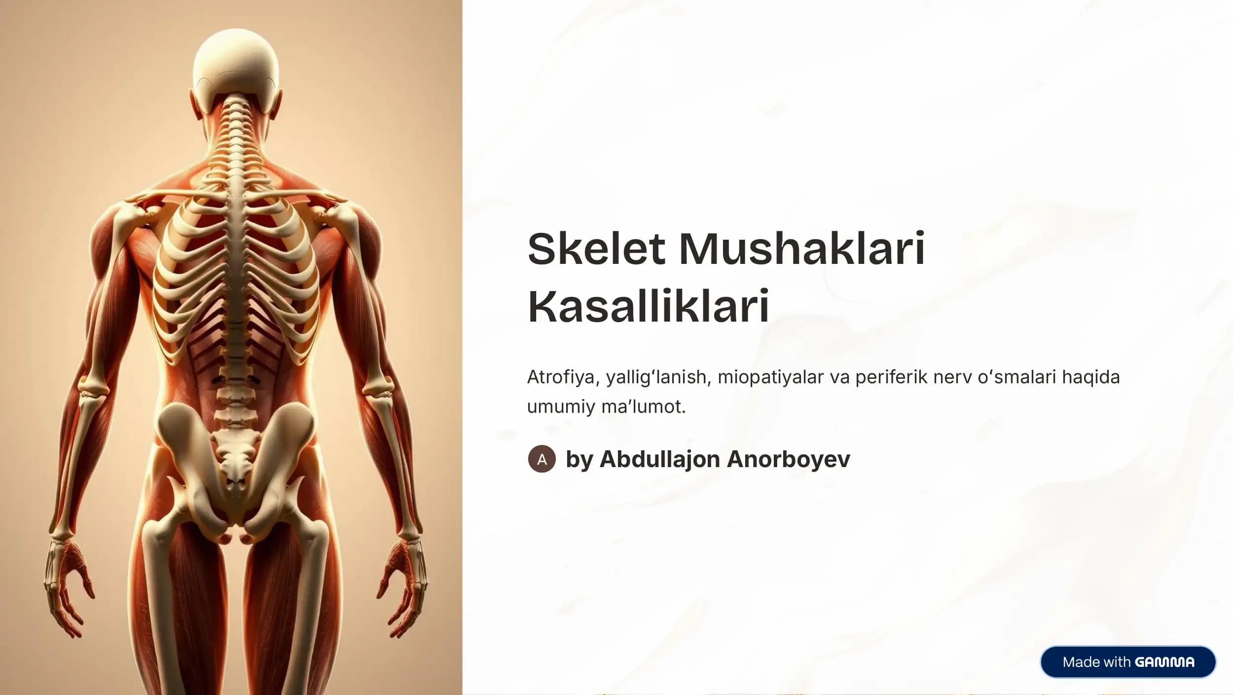 Skelet Mushaklari