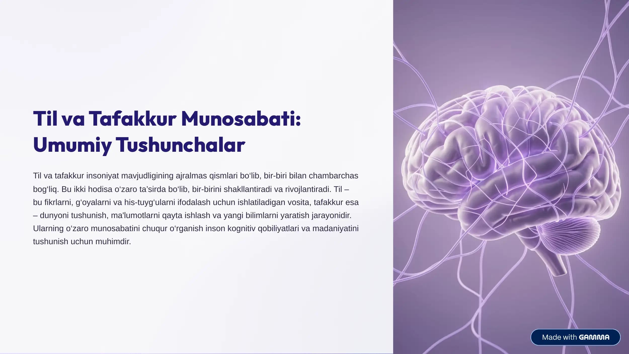 Til va Tafakkur Munosabati