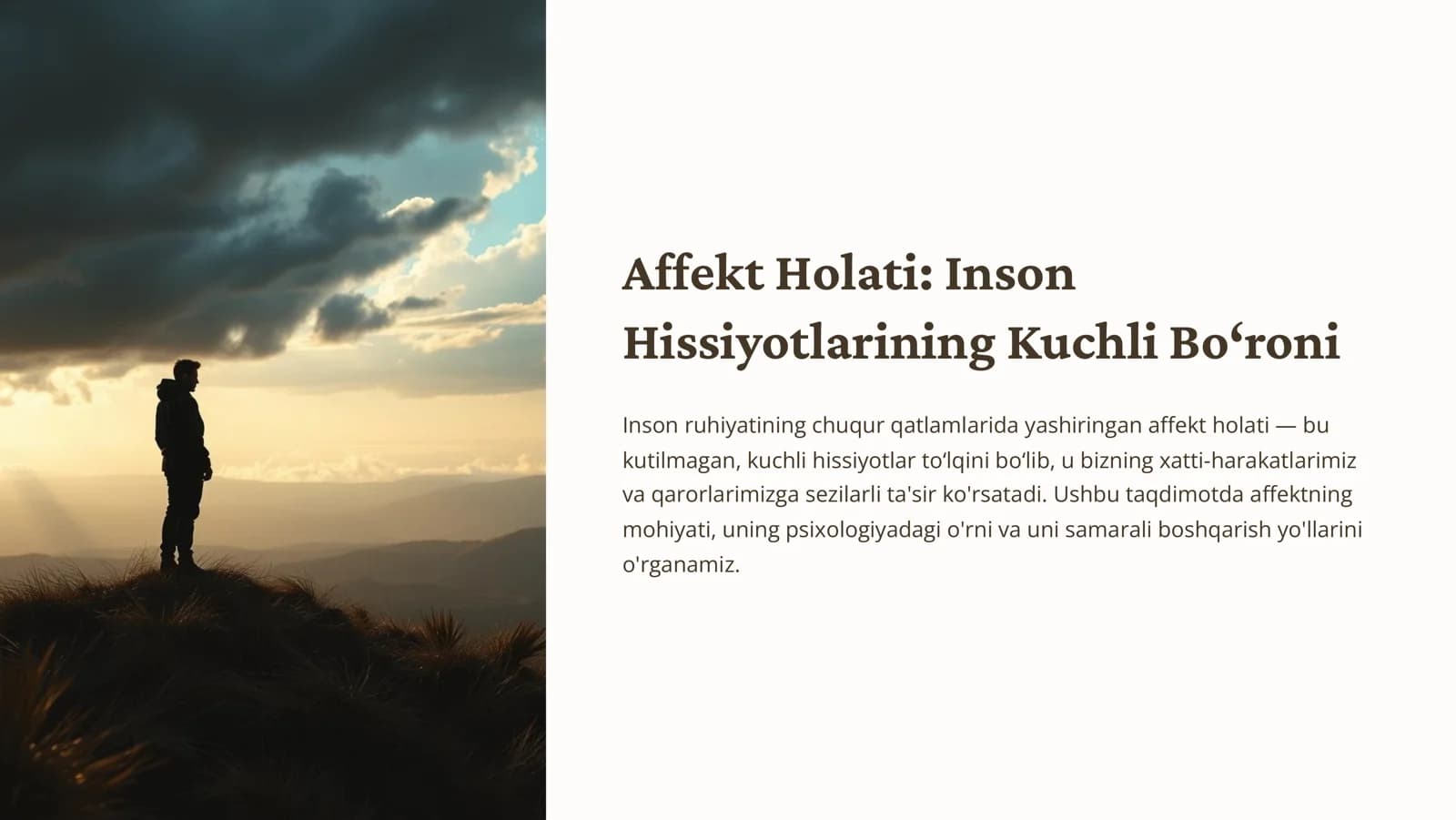 Affekt Holati Inson Hissiyotlarining Kuchli Bo8roni