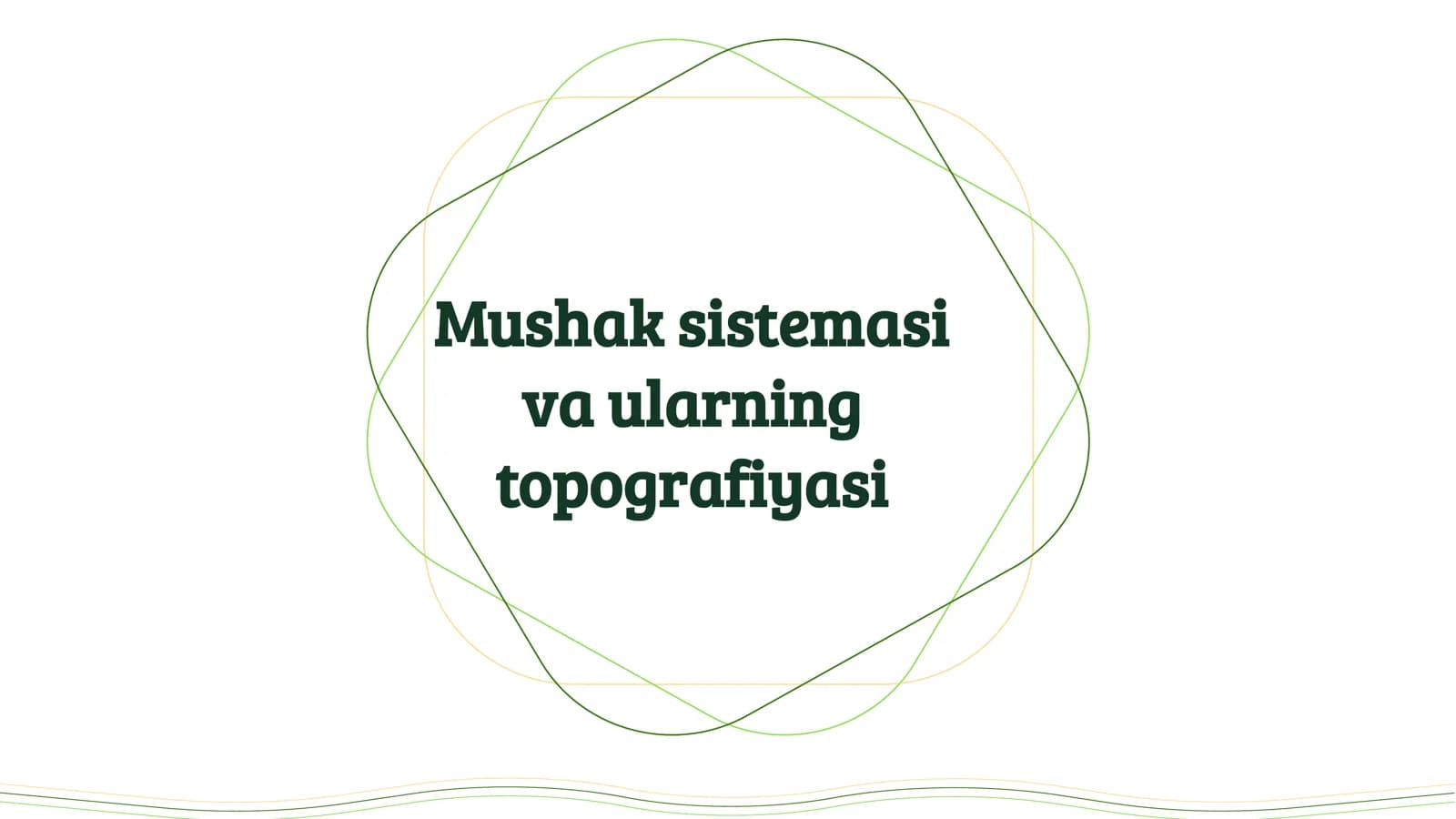 Mushak sistemasi va ularning topografiyasi