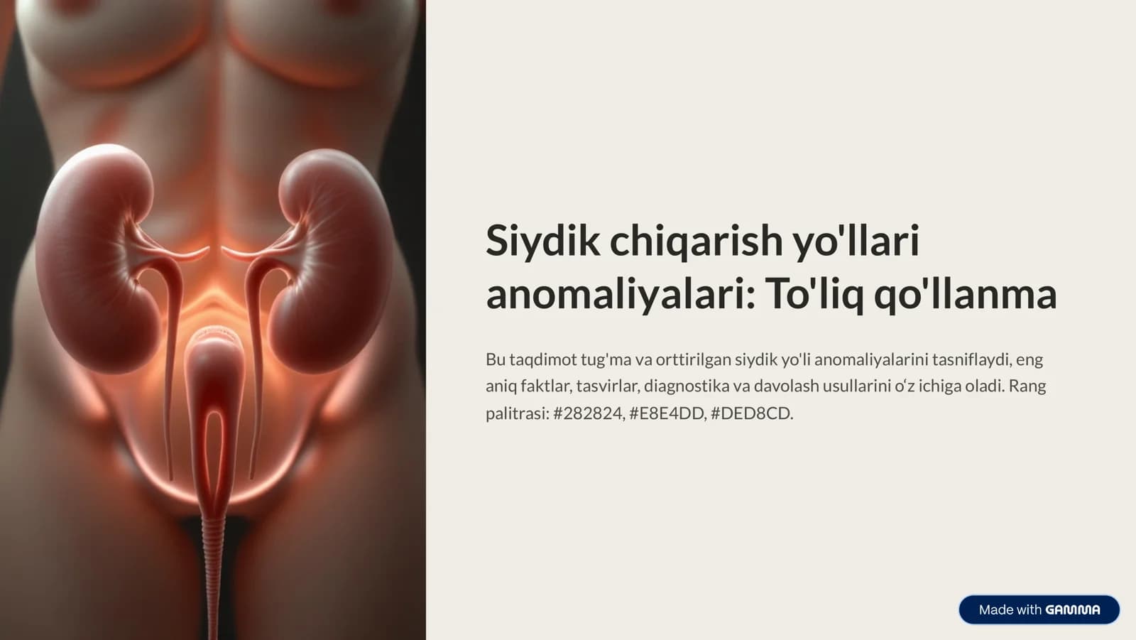 Siydik chiqarish yo'llari anomaliyalari: To'liq qo'llanma