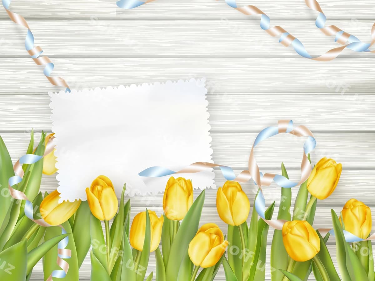 Qog'oz kartochka lolalar bilan | Paper card with tulips