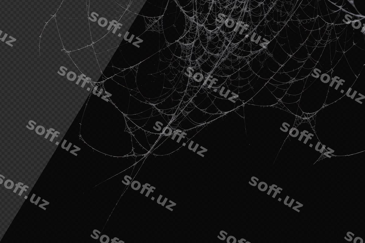 Fotorealistik chimyon tarmogi | Photorealistic cobweb