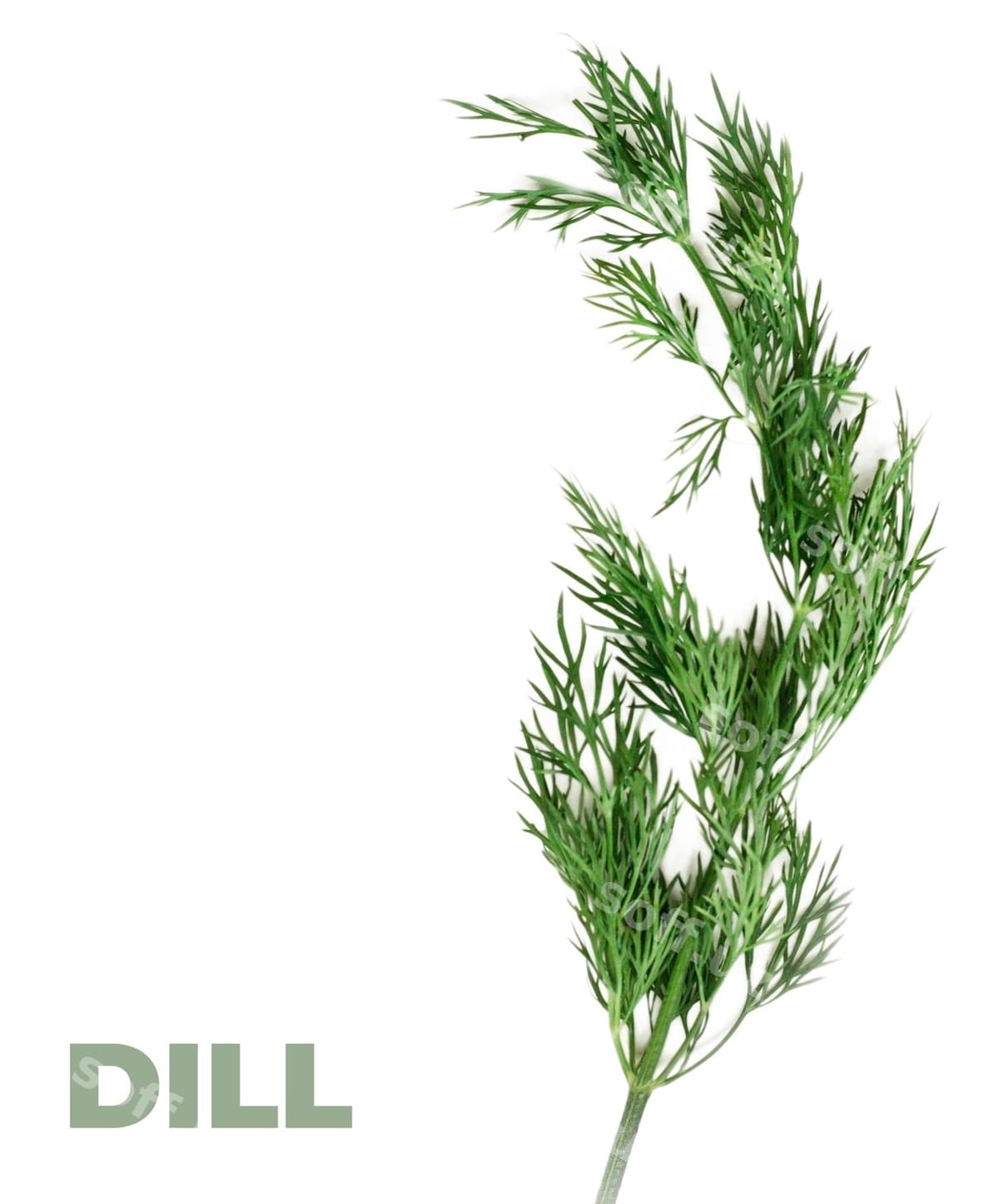 Rasm zavodi buldozer so'zi bilan | Picture plant with word bulldo it