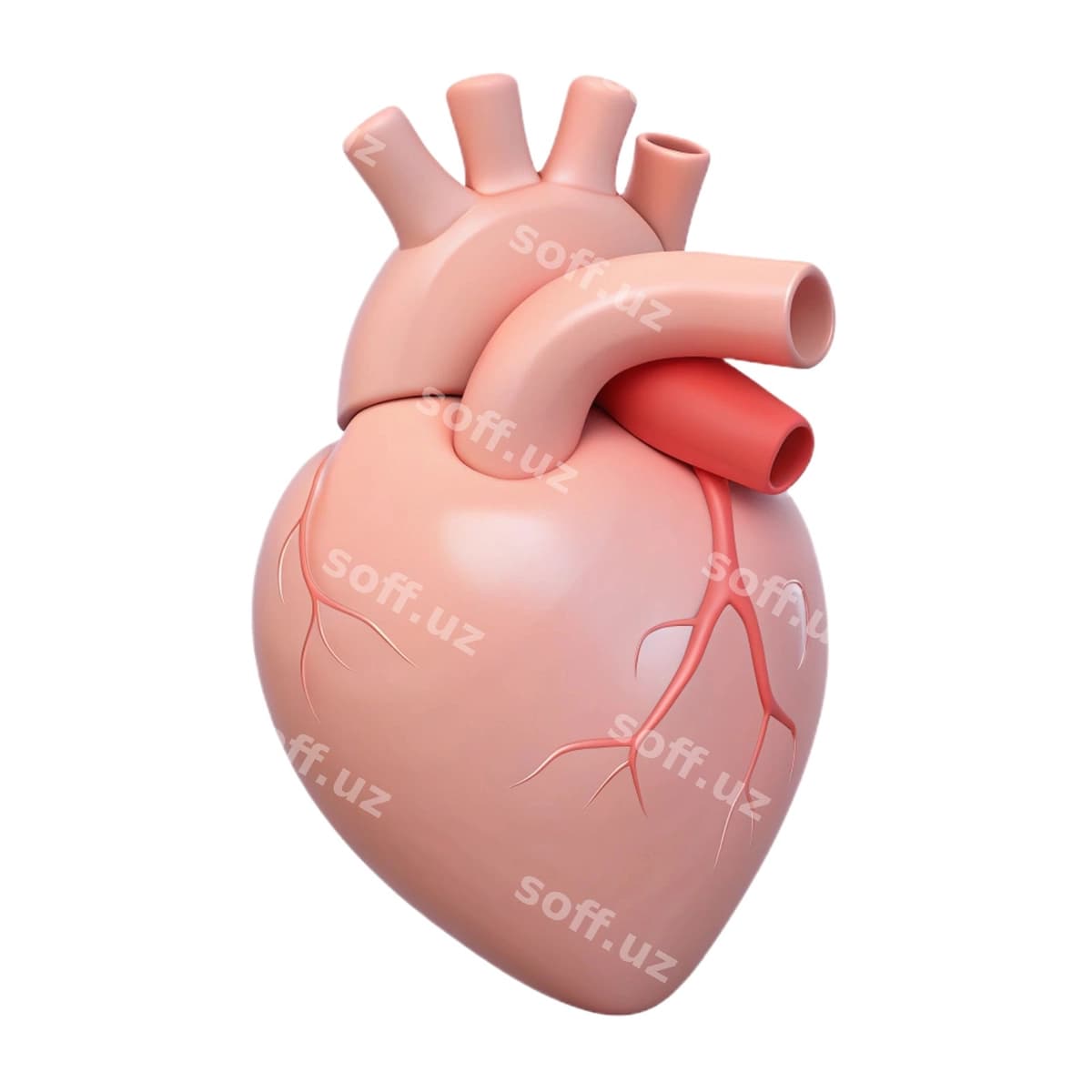 Binafsha qalb qizil qalb bilan qizil qalb | Pink heart with red heart red heart