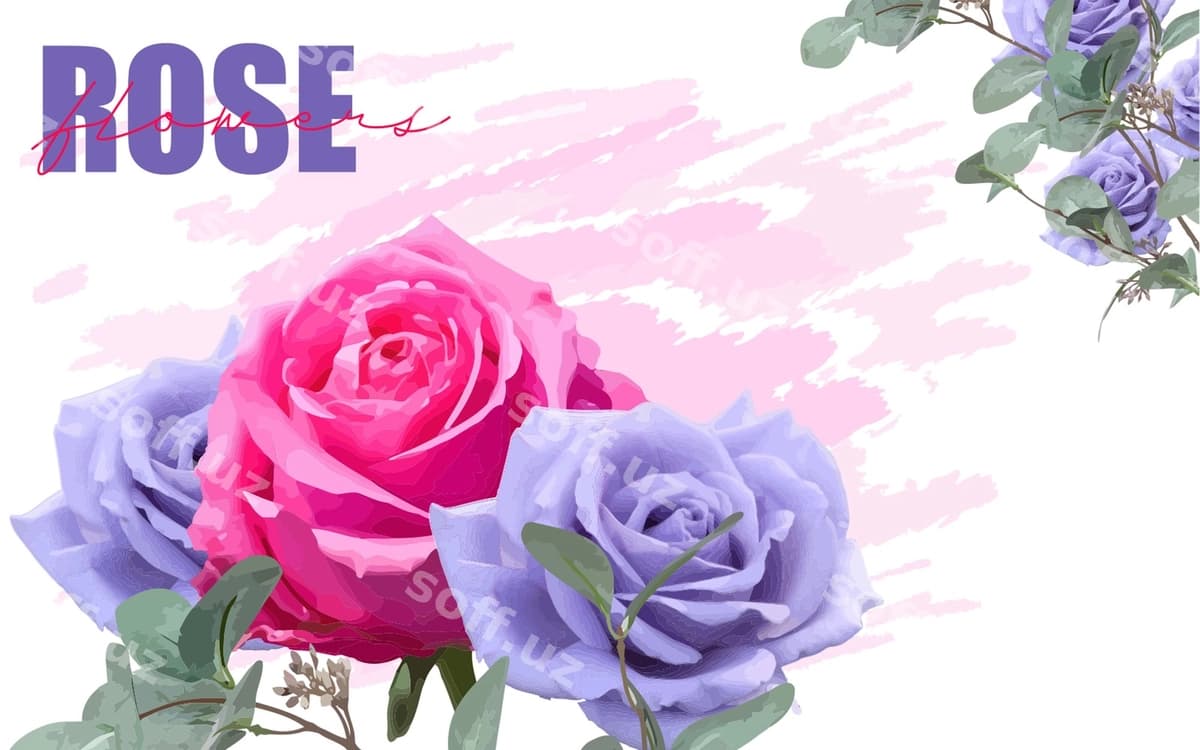 Binafsha va gulbinafsha gullar bahor orqa fonda | Pink purple roses spring background
