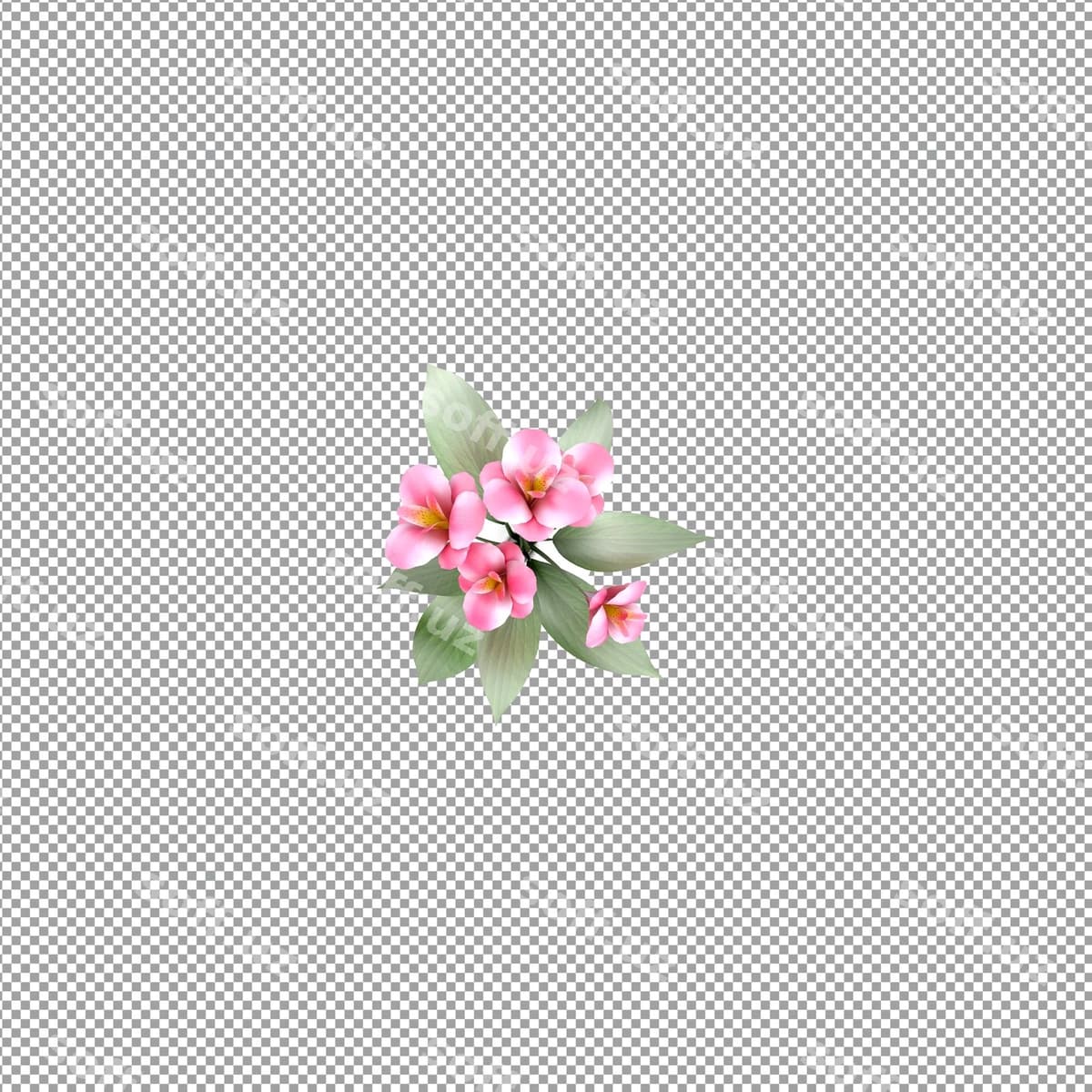 O'simlik ajraltirilgan 3d rendering | Plant isolated 3d rendering