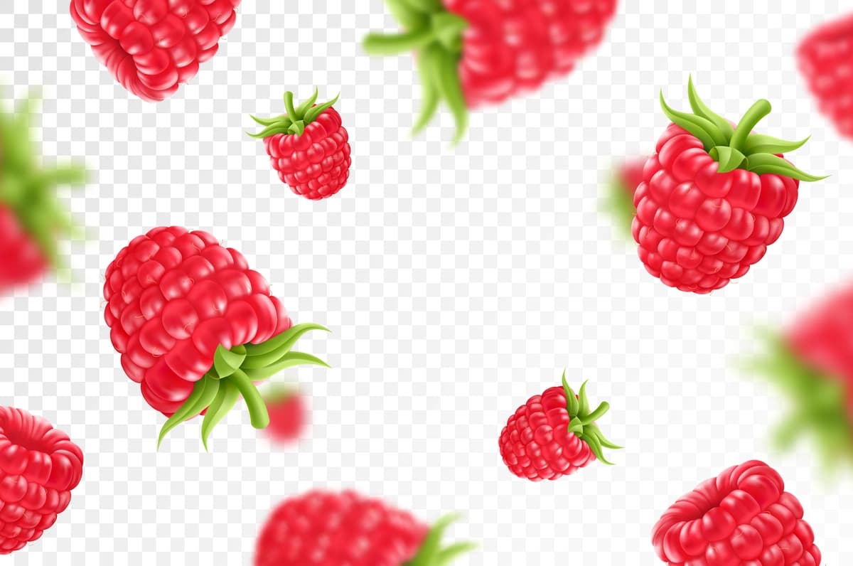 Yashil barglari shaffof malinali uchuvchi fon | Raspberry background flying raspberry with green leaf transparent