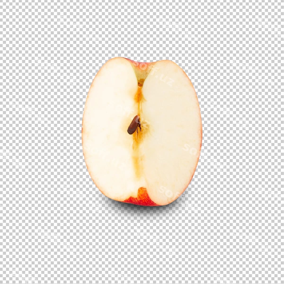 Qizil olma aylantirilgan dinamik chuqurlik maydoni | Red apple slice cutout full depth field