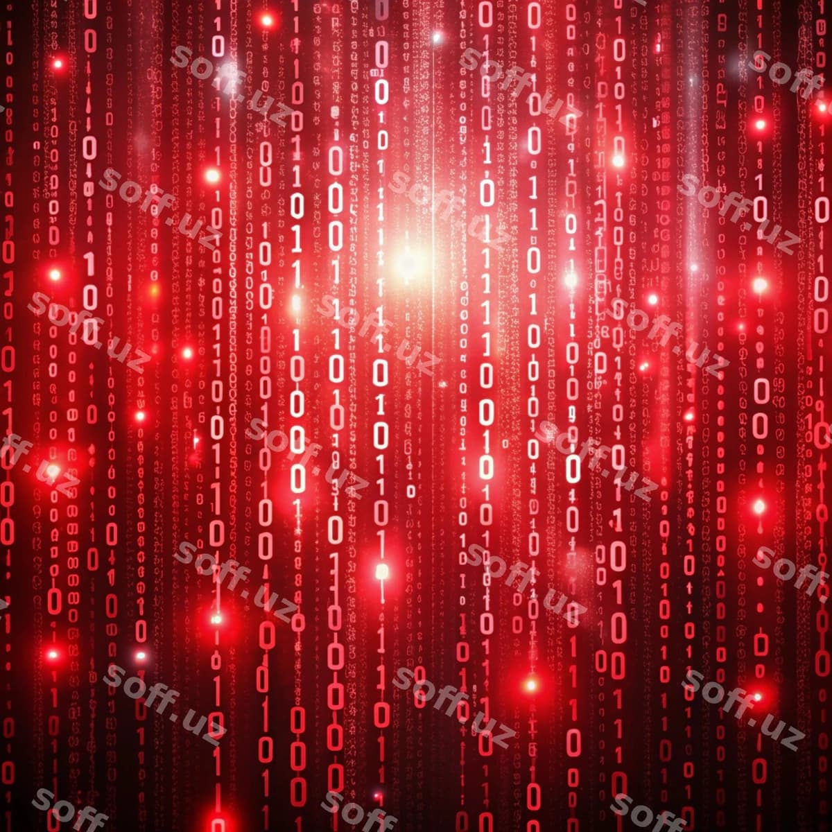 Qizil orqa fonda 1 0 sonlari bilan it | Red background with numbers 1 0 it