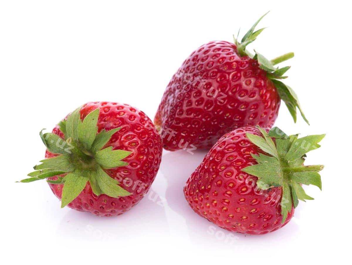 O'rgimchilgan qulupnachalar ajraltirilgan oq | Ripe strawberries isolated white