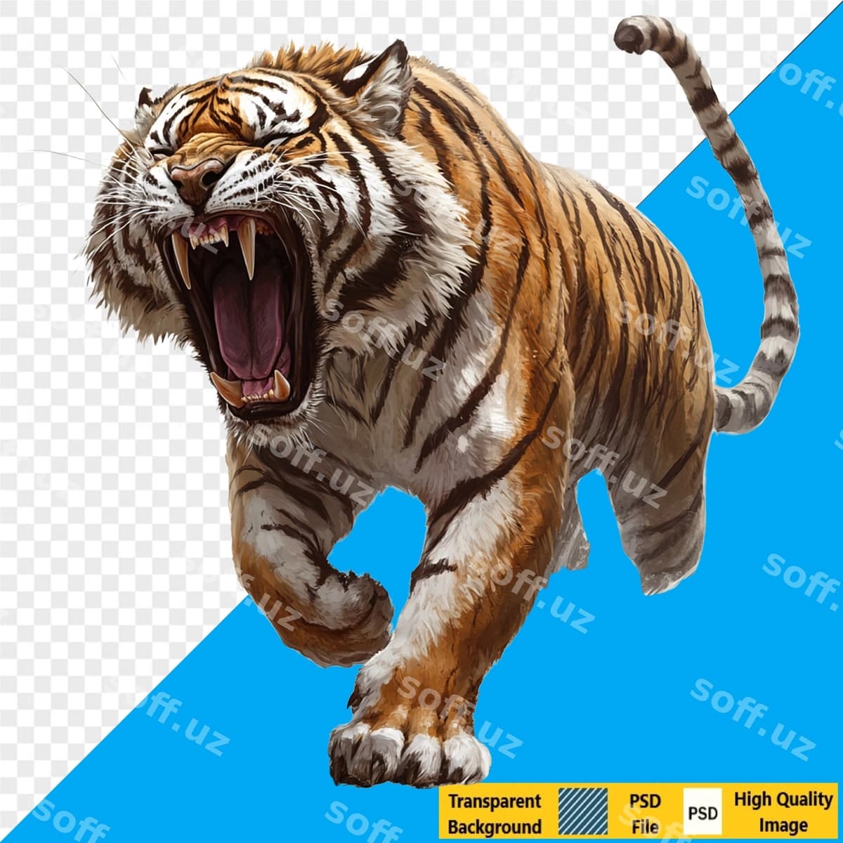 Rugʻi buzoq | Roaring tiger