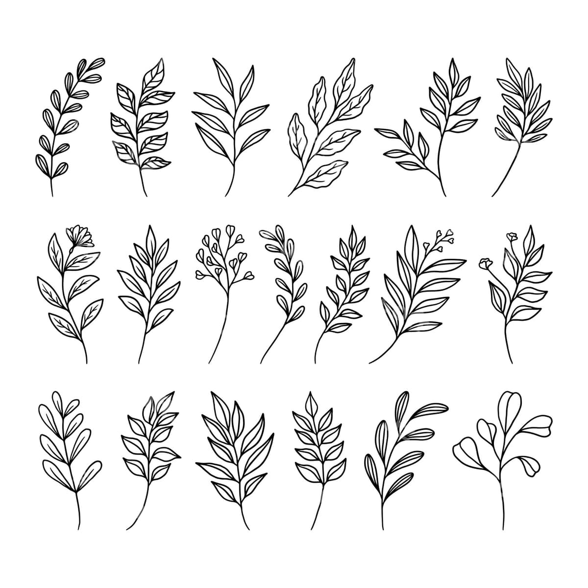 To'plam sarmoq varaqlar vektori | Set branch leaves vector