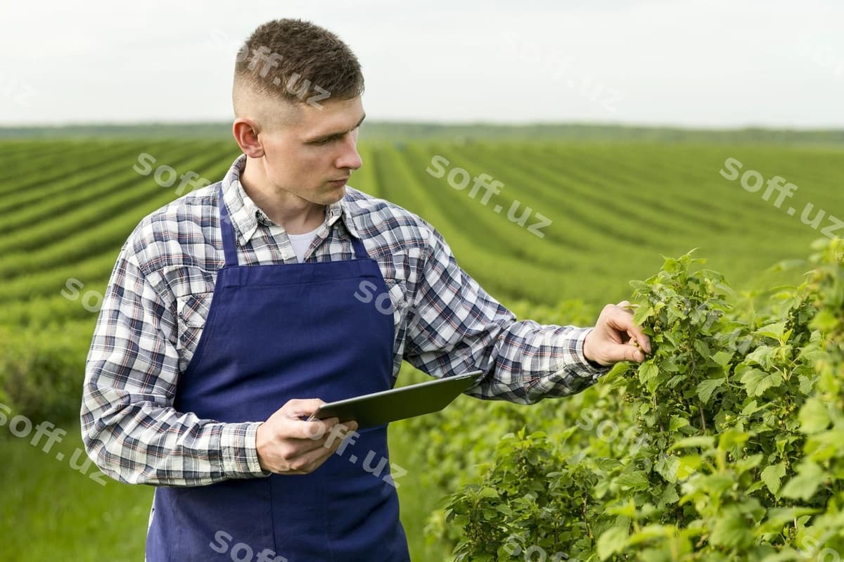 Tomon ko'rinishi erkak qishlov tablet bilan | Side view man farm with tablet