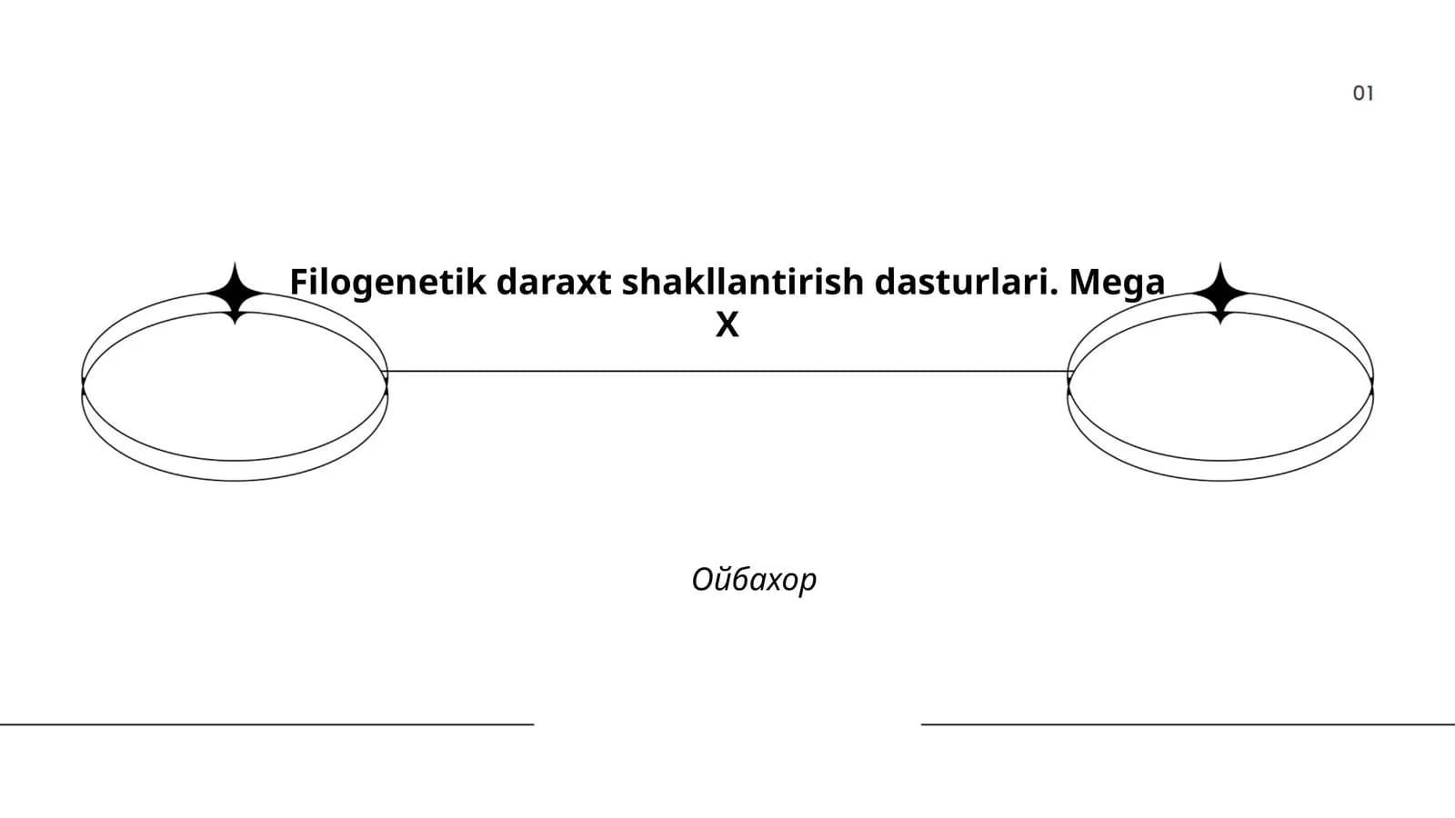 Filogenetik daraxt shakllantirish dasturlari. Mega X