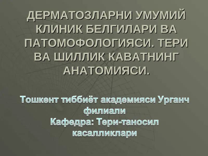 Терининг тузилиши