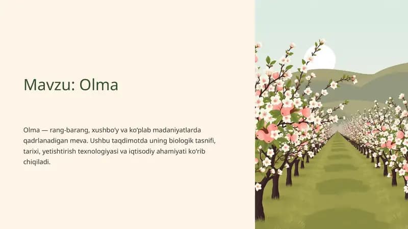 Olma