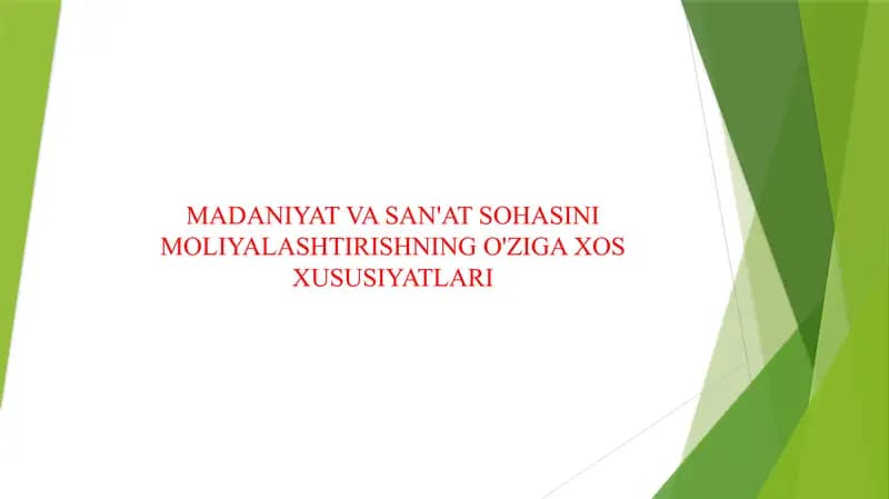 MADANIYAT VA SAN'AT SOHASINI MOLIYALASHTIRISHNING O'ZIGA XOS XUSUSIYATLARI