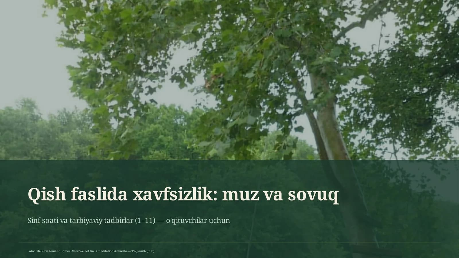 Qish faslida xavfsizlik: muz va sovuq