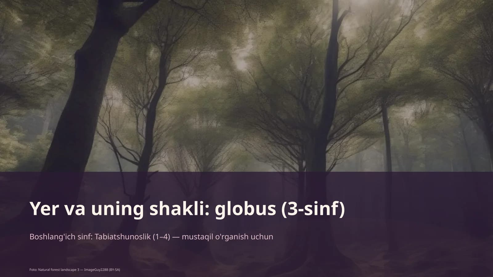 Globus (3-sinf)