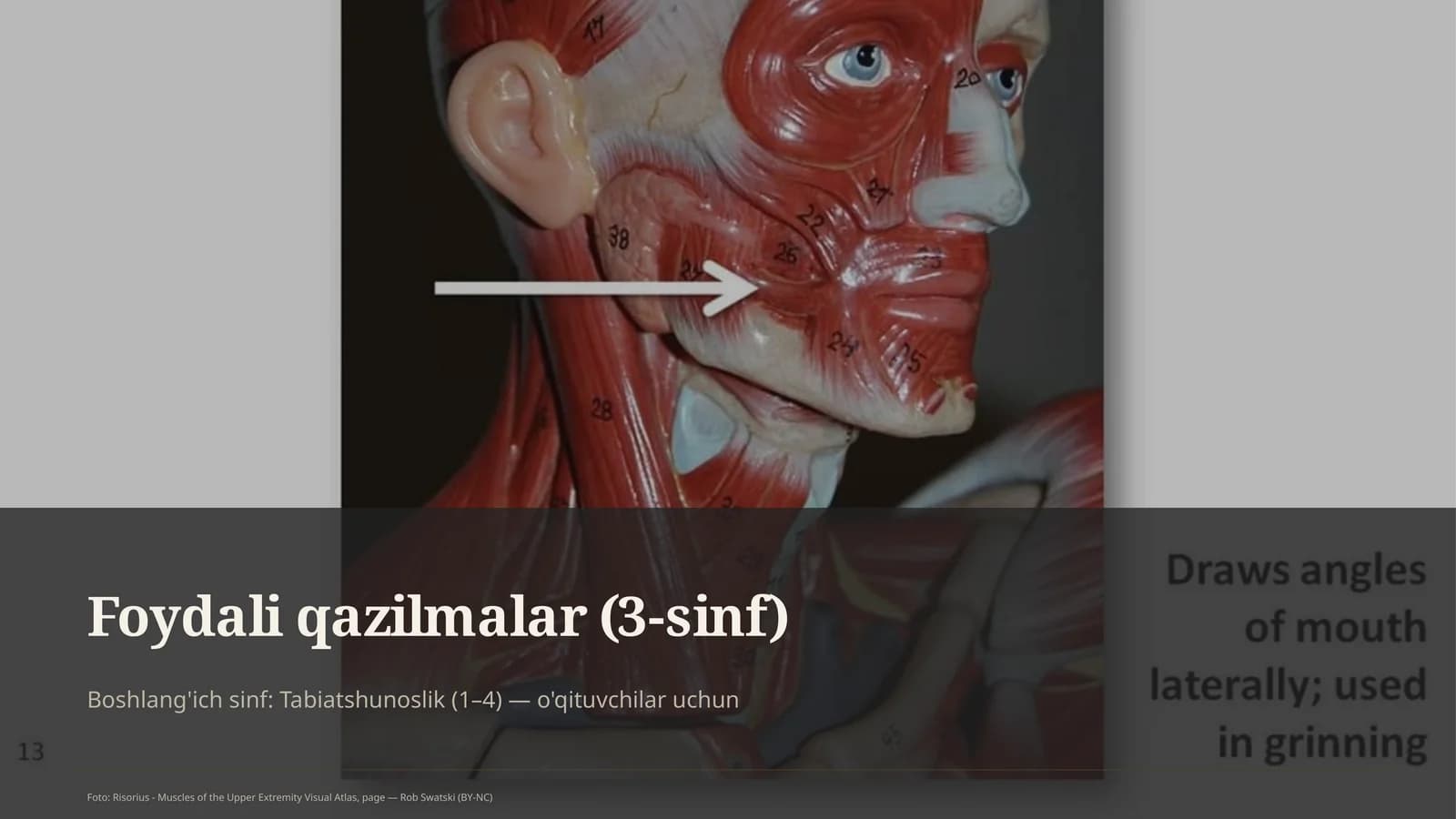 Foydali qazilmalar (3-sinf)