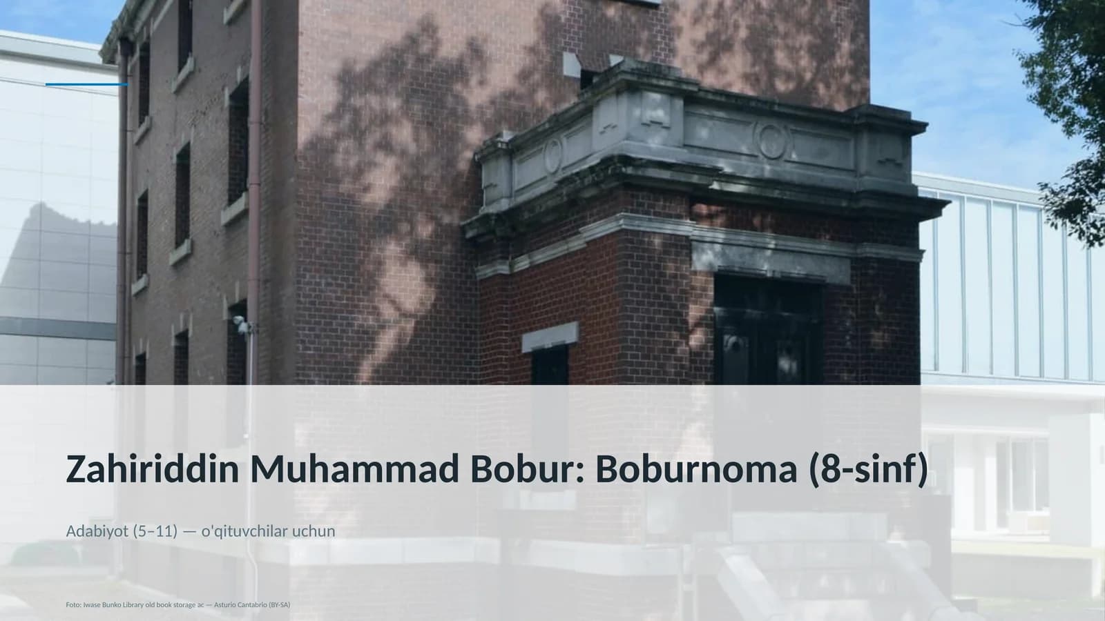 Boburnoma (8-sinf)