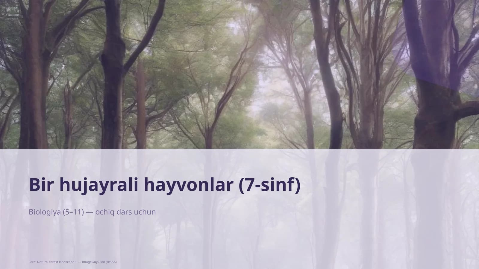 Bir hujayrali hayvonlar (7-sinf)